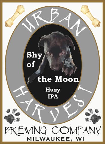 Shy-ver-1copper Shy of the Moon Hazy IPA